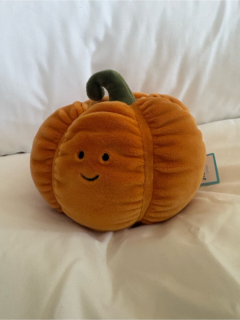 Jellycat Vivacious Pumpkin 🎃